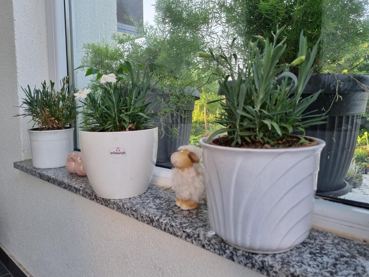 Apartman Nataly Varazdin Luaran gambar